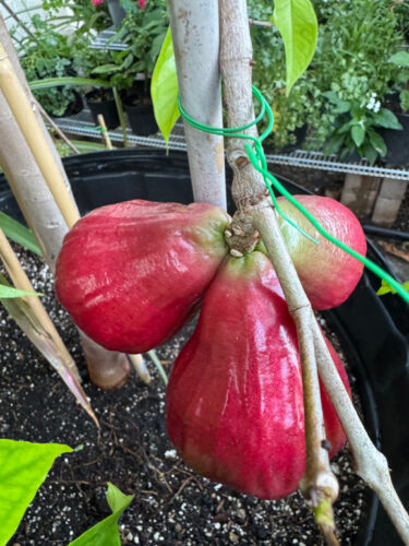 Send your best photos from Maui County to mauiphotos@mauinews.com for a chance to see them featured on our website and in our weekly print edition.